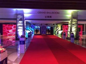 廣州慶典策劃公司 專業(yè)舞龍舞獅禮儀與開(kāi)業(yè)慶典布置、燈光音響租賃一站式服務(wù)